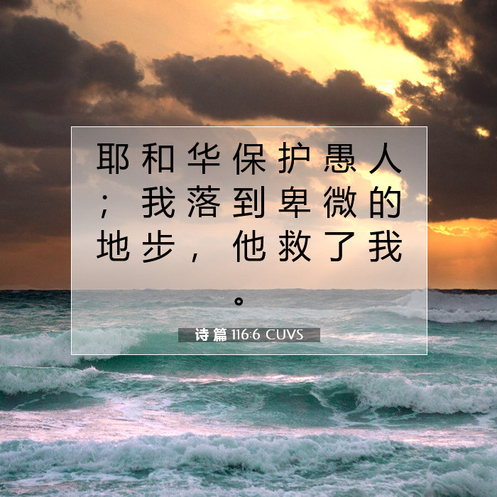 诗篇116:6 圣经经文含义| 耶和华保护愚人； 我落到卑微的地步